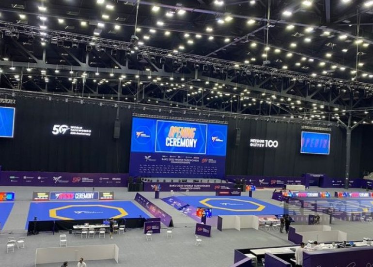 Azərbaycanlı taekvondoçu Avropa birinciliyində gümüş medal qazandı