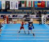 Azərbaycanın 19 boksçusu yarımfinalda